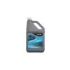 Thetford 1 Gallon Premium Protect And Shine -Husky Houses Shop 32756