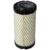 Cummins Onan Diesel 140-3071 Generator Air Filter -Husky Houses Shop 81lhwpamscl. sl1500