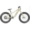 QuietKat Pioneer Electric Bicycle -Husky Houses Shop capture 12 5