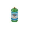 Flame King DOT Portable 1lb Refillable Propane Cylinder -Husky Houses Shop ysn164
